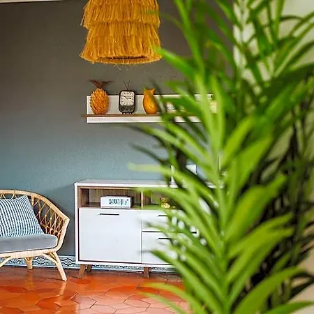 The Salty Surf & Yoga Hotel